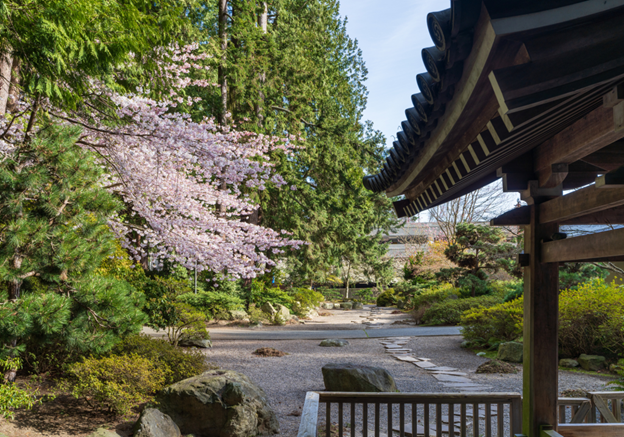 🌲 BRITISH COLUMBIA