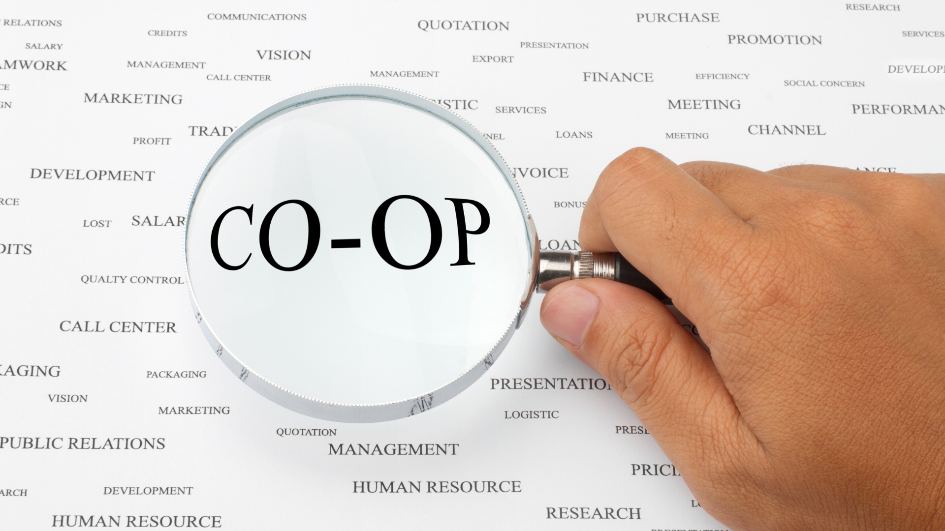 Thực tập (internship) và Khóa Vừa Học Vừa Làm Co-op