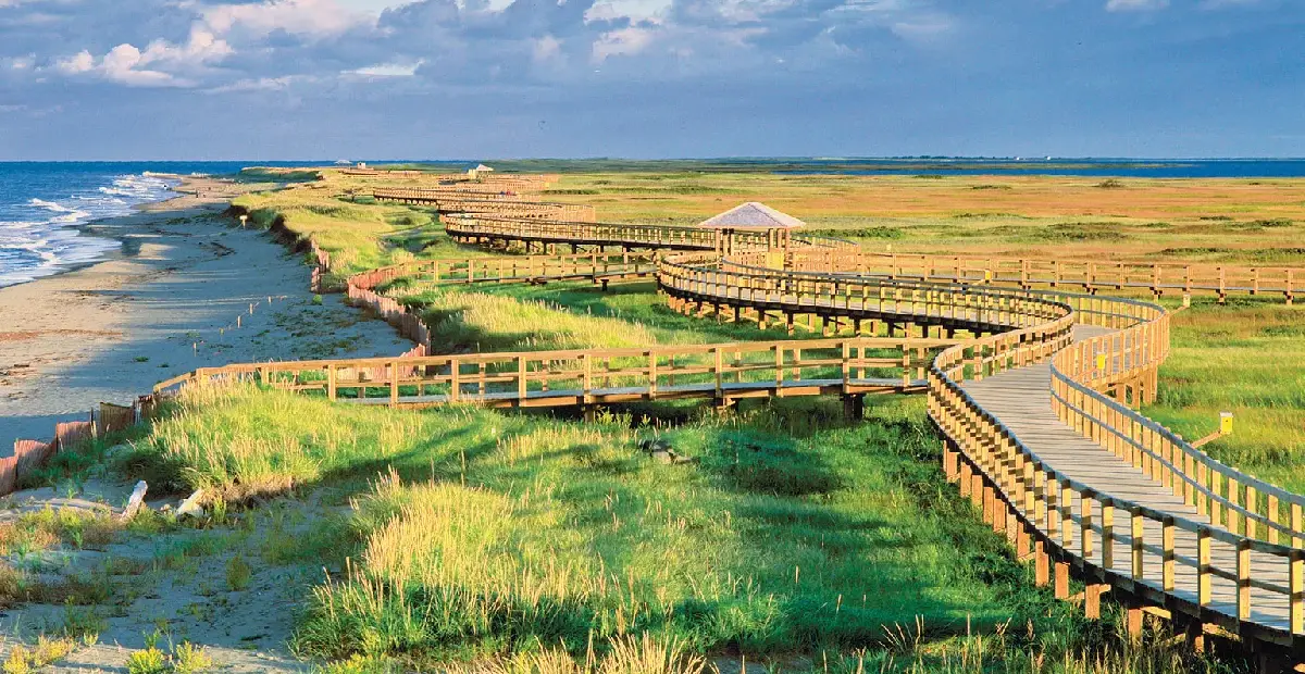 iCanPR - Doanh nhân tỉnh bang New Brunswick: Lộ trình định cư Canada thực tế năm 2026 Doanh nhân tỉnh bang New Brunswick: Lộ trình định cư Canada thực tế năm 2026