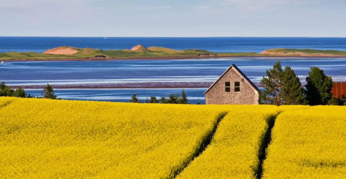 PEI PNP 2025: Đợt rút thăm bất ngờ cuối năm mở rộng cơ hội định cư 6 PEI PNP 2025: Đợt rút thăm bất ngờ cuối năm mở rộng cơ hội định cư