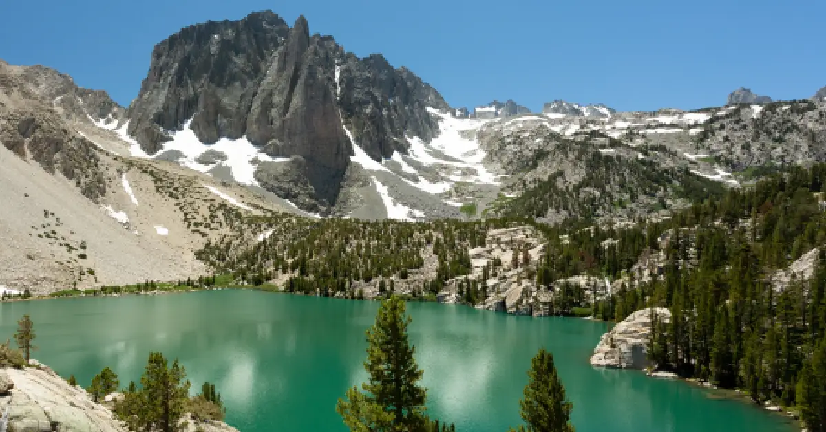 Rural Renewal Stream là gì? Hướng dẫn chi tiết chương trình định cư nông thôn Alberta 8 Rural Renewal Stream là gì? Hướng dẫn chi tiết chương trình định cư nông thôn Alberta