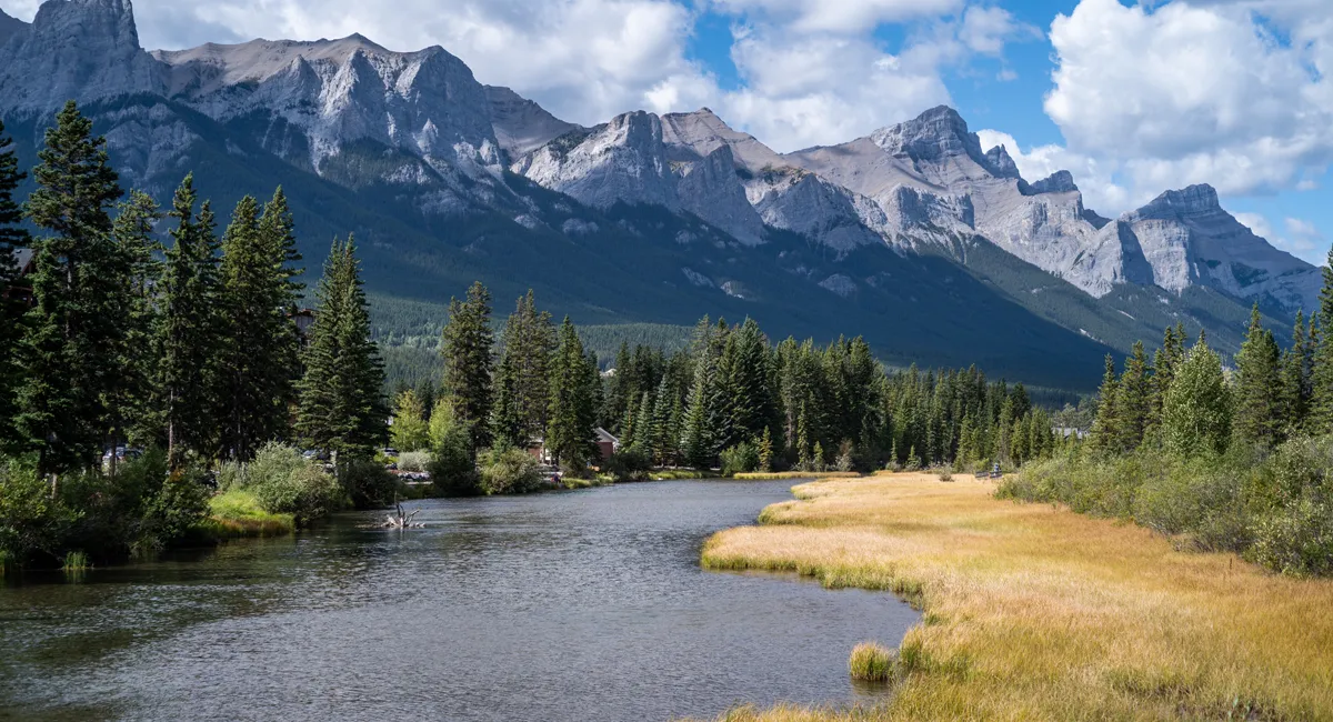 Chương trình Định cư Lợi thế Alberta AAIP 2025: Cập nhật mới nhất