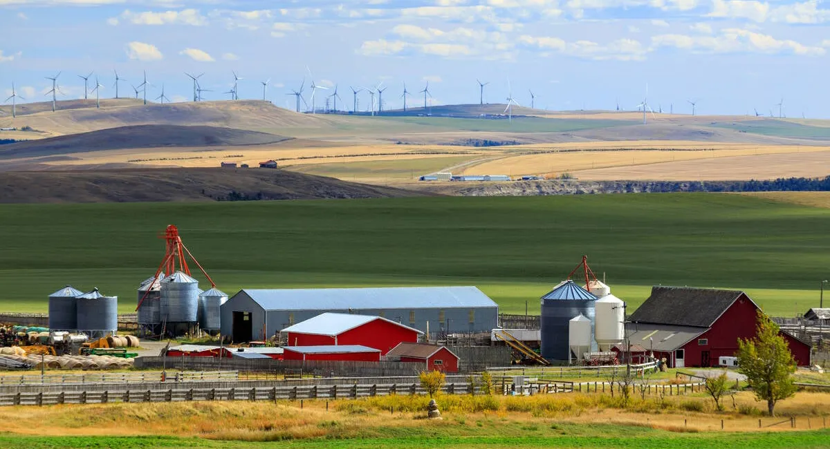 Chương trình thí điểm nhập cư cộng đồng nông thôn (RCIP)