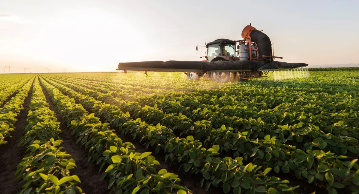 Danh Sách Nhà Tuyển Dụng Được Công Bố Cho Peace Liard, North Okanagan-Shuswap & Pictou County Cho Chương Trình Nhập Cư Nông Thôn