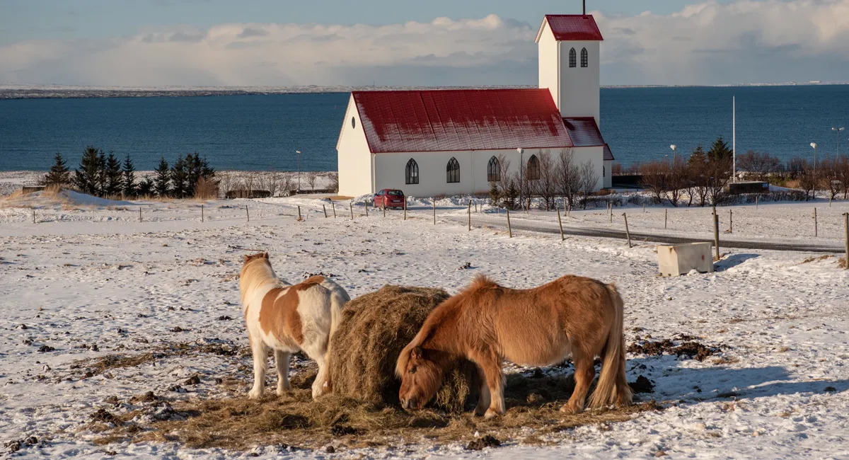 Dao Prince Edward chi dinh nhung nha tuyen dung moi cho Chuong trinh Nhap cu Dai Tay Duong