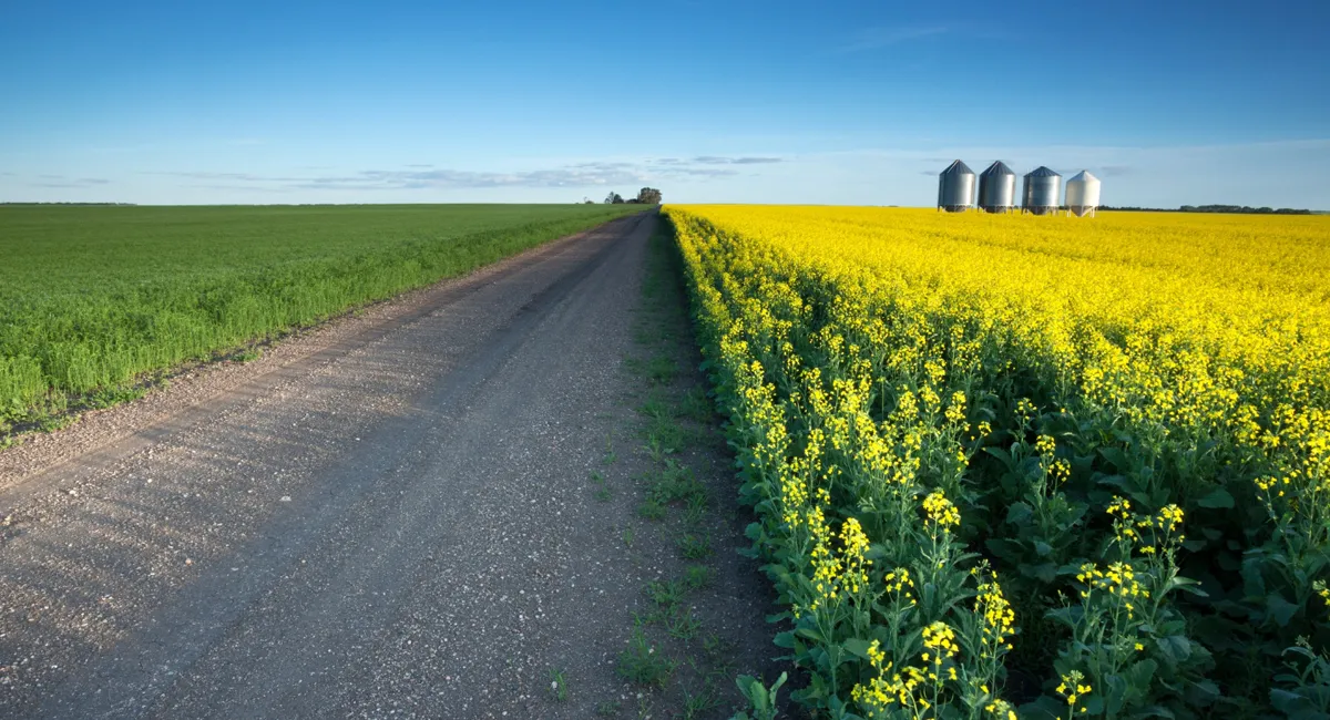 Định cư Saskatchewan: Kết thúc Tạm dừng chương trình PNP với những cập nhật mới