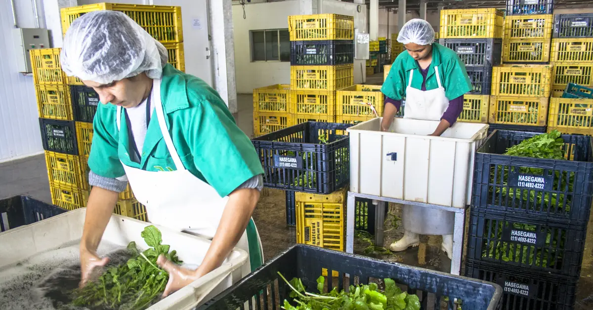 Đóng gói thực phẩm - Manitoba