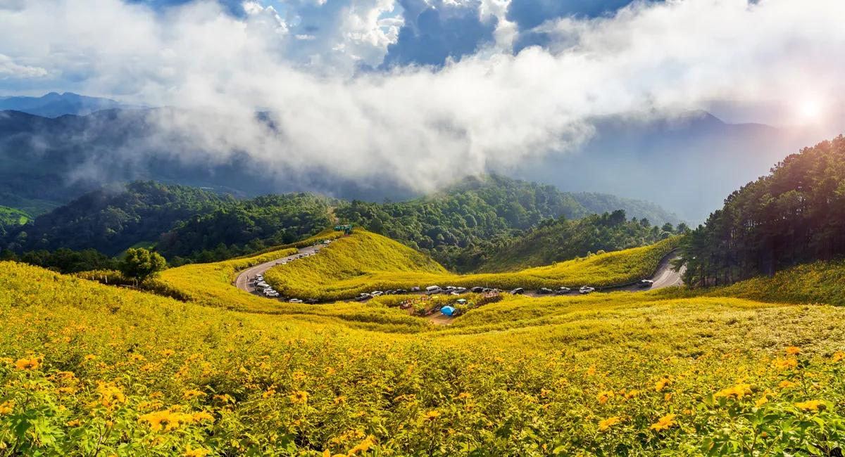 Dự đoán về điểm cut-off Express Entry tháng 7/2024