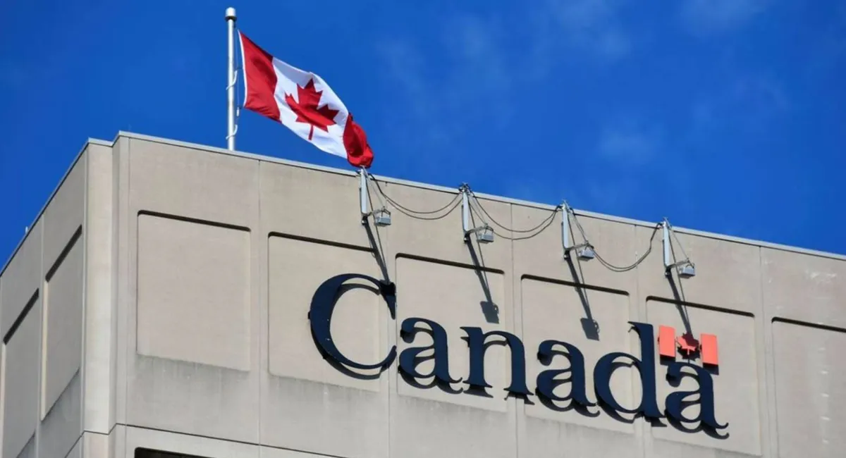 IRCC Loại Bỏ Yêu Cầu Ngành Học Đối Với PGWP các sinh viên tốt nghiệp với bằng cử nhân, thạc sĩ hoặc tiến sĩ 2 IRCC Loại Bỏ Yêu Cầu Ngành Học Đối Với PGWP các sinh viên tốt nghiệp với bằng cử nhân, thạc sĩ hoặc tiến sĩ