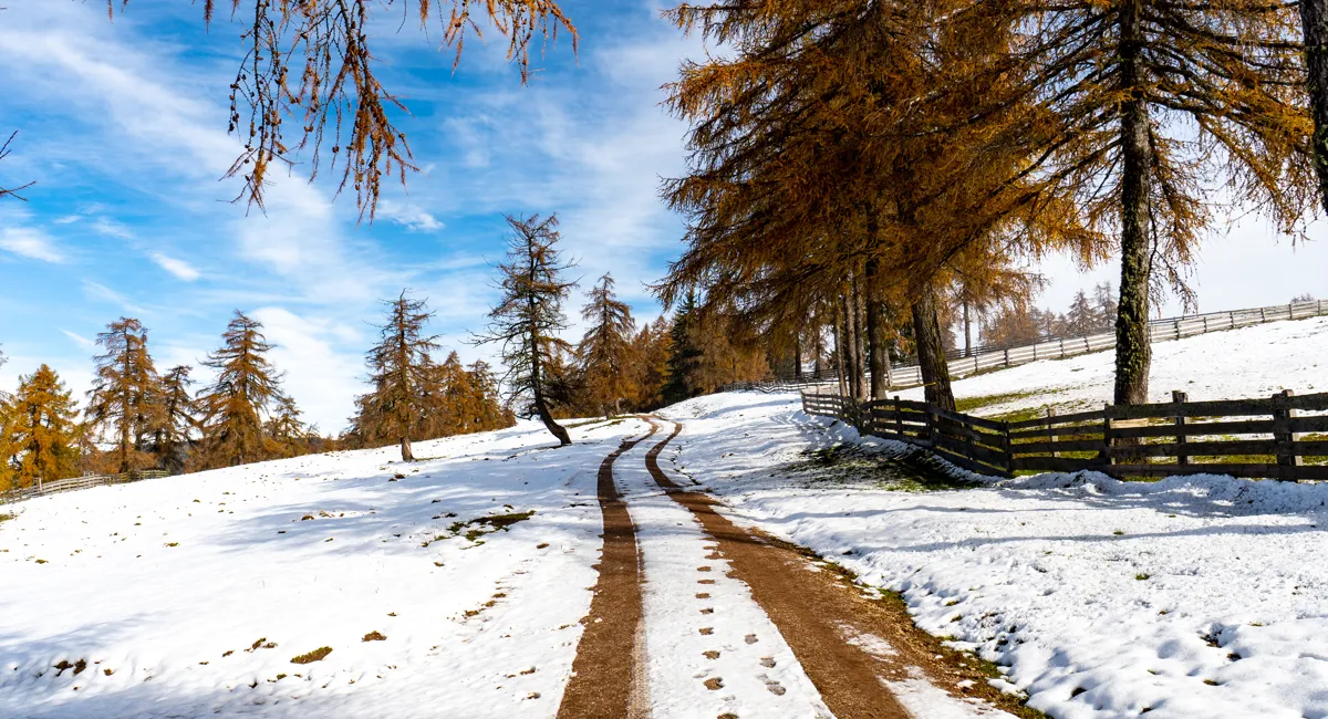 Mùa đông ở Canada có đáng sợ không? Kinh nghiệm sống qua mùa lạnh
