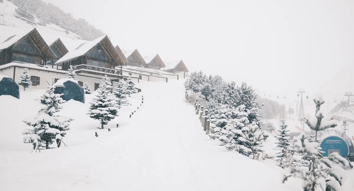 Quà tặng mùa đông từ chính phủ Canada 2024