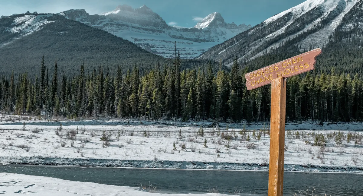 Tất tần tật về SINP: Chương trình đề cử tỉnh bang Saskatchewan