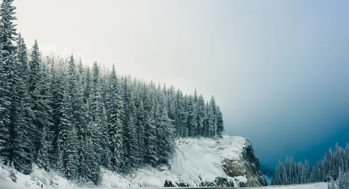 Yukon Tăng Thêm Chỉ Tiêu Đề Cử Cho Thường Trú Nhân Canada Năm 2025 1 Yukon Tăng Thêm Chỉ Tiêu Đề Cử Cho Thường Trú Nhân Canada Năm 2025