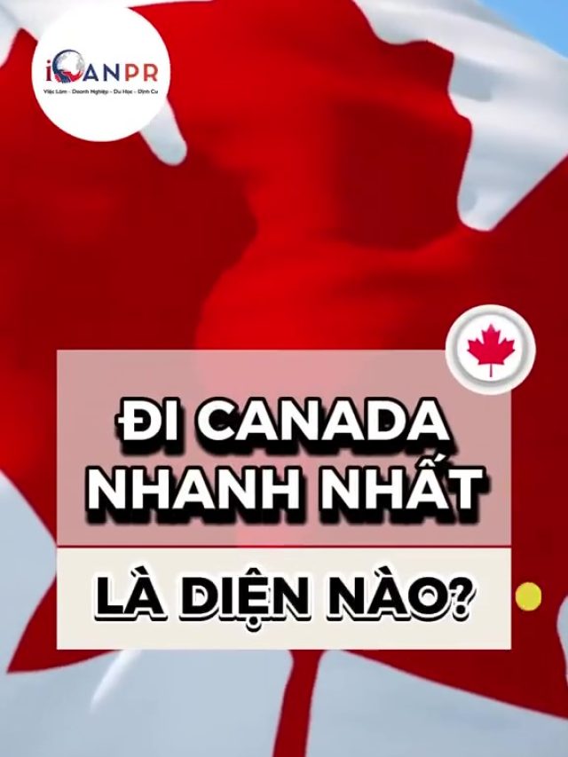 DIỆN NÀO ĐI CANADA NHANH NHẤT❓