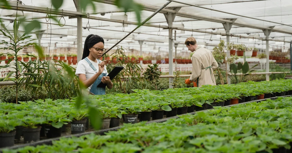 Kỹ thuật viên nông học